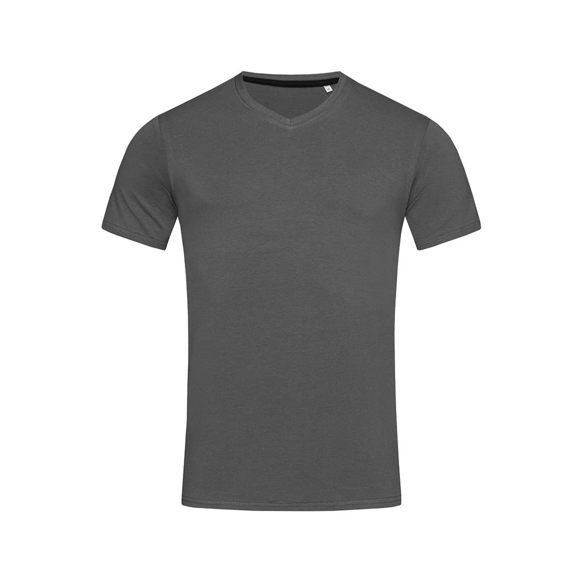 Abbigliamento Uomo T-shirts a maniche lunghe Stedman Stars Clive Grigio