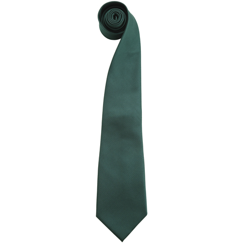 Abbigliamento Uomo Cravatte e accessori Premier RW6938 Verde