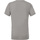 Abbigliamento Uomo T-shirt maniche corte Bella + Canvas CA3413 Grigio