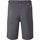 Abbigliamento Uomo Shorts / Bermuda Dare 2b Tuned In II Grigio