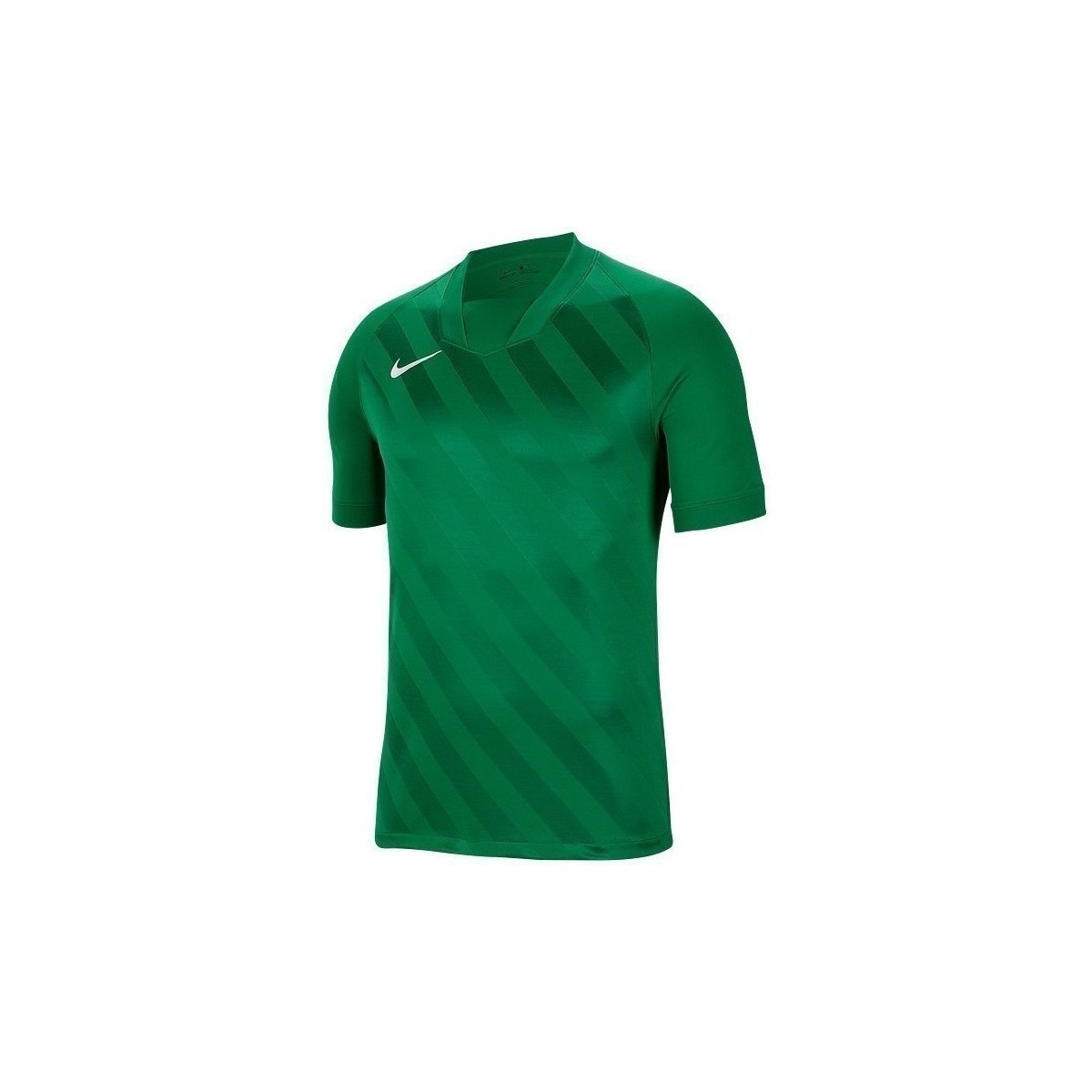 Abbigliamento Uomo T-shirt maniche corte Nike Challenge Iii Verde