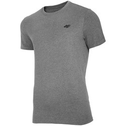Abbigliamento Uomo T-shirt maniche corte 4F TSM003 Grigio