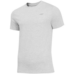 Abbigliamento Uomo T-shirt maniche corte 4F TSM003 Grigio