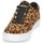 Scarpe Donna Sneakers basse Timberland SKYLA BAY LEATHER OXFORD Leopard
