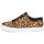 Scarpe Donna Sneakers basse Timberland SKYLA BAY LEATHER OXFORD Leopard