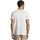 Abbigliamento Uomo T-shirt maniche corte adidas Originals Originals Graphic Streetball Bianco