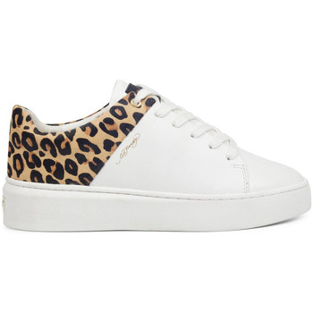 Scarpe Donna Sneakers Ed Hardy Wild low top white leopard Bianco