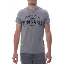 Abbigliamento Uomo T-shirt & Polo Hungaria H-16TLMOBOLV Grigio