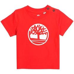 Abbigliamento Bambina T-shirt maniche corte Timberland T05J17 Rosso
