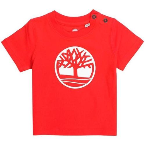 Abbigliamento Bambina T-shirt & Polo Timberland . Rosso