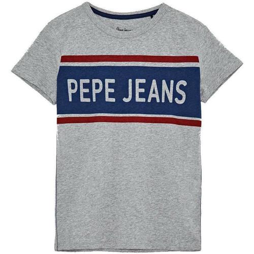 Abbigliamento Bambino T-shirt & Polo Pepe jeans PB502689 Grigio