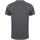 Abbigliamento Uomo T-shirt maniche corte Skinni Fit SF121 Grigio