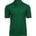 Abbigliamento Uomo Polo maniche corte Tee Jays Luxury Verde