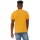 Abbigliamento Uomo T-shirt maniche corte Bella + Canvas CA3413 Multicolore