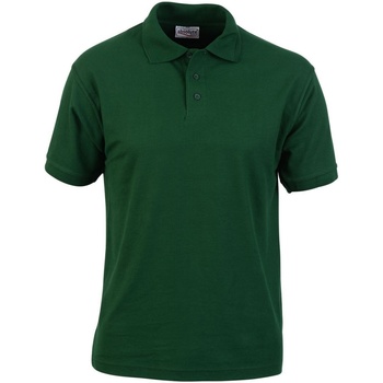 Abbigliamento Uomo T-shirt & Polo Absolute Apparel  Verde