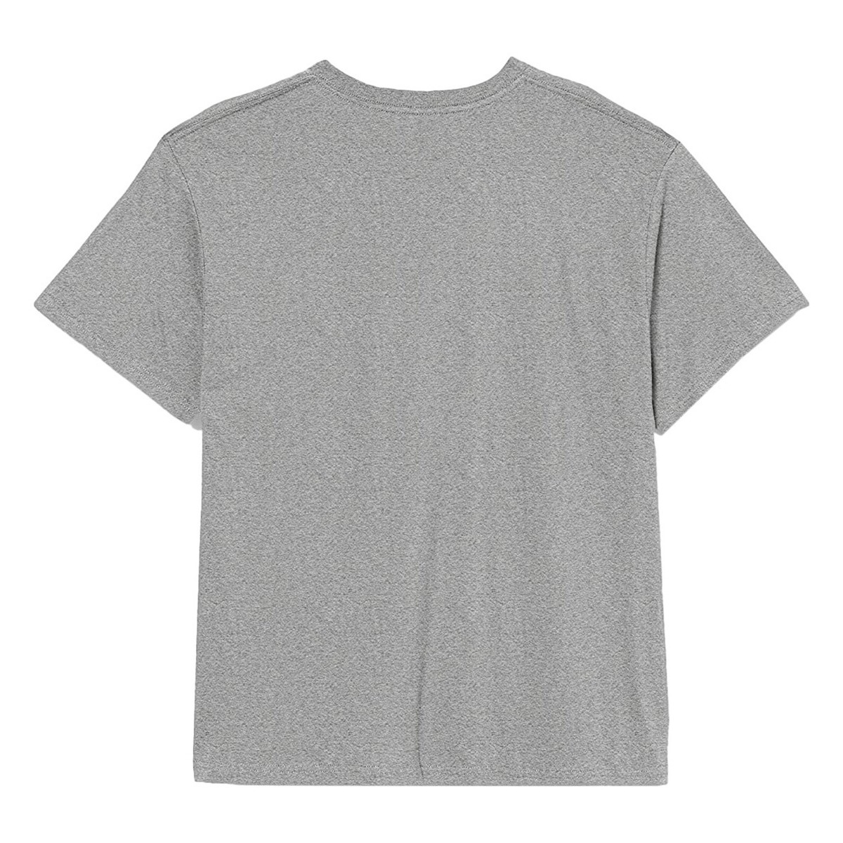 Abbigliamento Uomo T-shirts a maniche lunghe Stedman AB276 Grigio