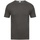 Abbigliamento Uomo T-shirt maniche corte Absolute Apparel AB121 Grigio