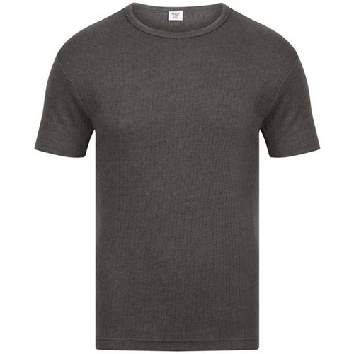 Abbigliamento Uomo T-shirt maniche corte Absolute Apparel AB121 Grigio