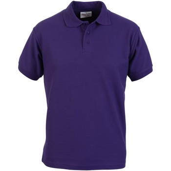 Abbigliamento Uomo T-shirt & Polo Absolute Apparel  Viola