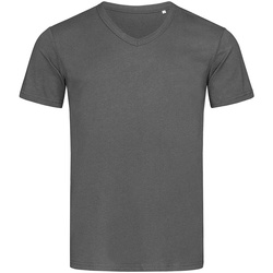 Abbigliamento Uomo T-shirts a maniche lunghe Stedman Stars AB356 Grigio