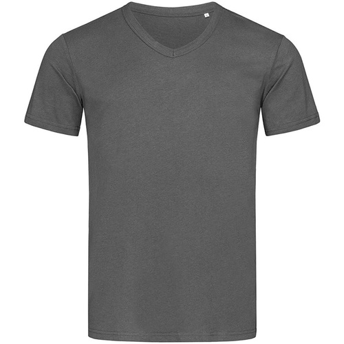 Abbigliamento Uomo T-shirts a maniche lunghe Stedman Stars AB356 Grigio