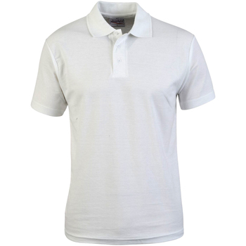 Abbigliamento Uomo T-shirt & Polo Absolute Apparel  Bianco