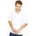 Abbigliamento Uomo T-shirt & Polo Absolute Apparel AB104 Bianco