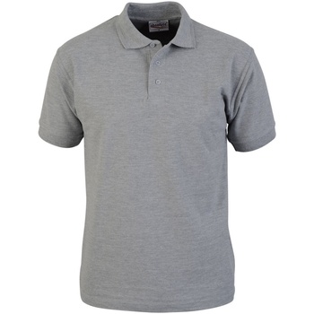 Abbigliamento Uomo T-shirt & Polo Absolute Apparel  Grigio