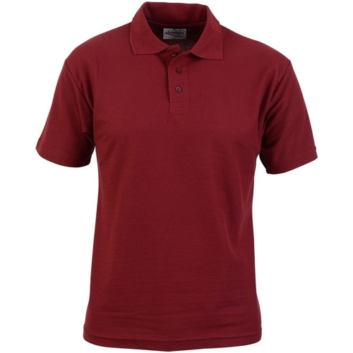 Abbigliamento Uomo T-shirt & Polo Absolute Apparel AB104 Multicolore