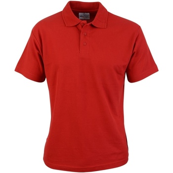 Abbigliamento Uomo T-shirt & Polo Absolute Apparel  Rosso