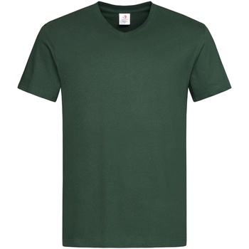 Abbigliamento Uomo T-shirts a maniche lunghe Stedman  Verde