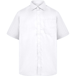 Abbigliamento Uomo Camicie maniche corte Absolute Apparel AB118 Bianco