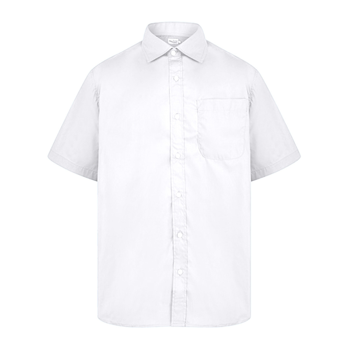 Abbigliamento Uomo Camicie maniche corte Absolute Apparel AB118 Bianco