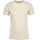 Abbigliamento T-shirts a maniche lunghe Next Level NX3600 Beige