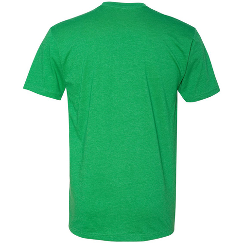 Abbigliamento T-shirts a maniche lunghe Next Level CVC Verde