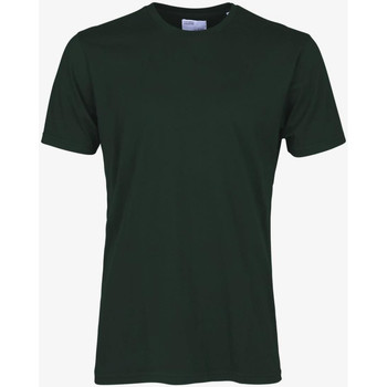 Abbigliamento Uomo T-shirt & Polo Colorful Standard CLASSIC ORGANIC TEE hunter-green-verde
