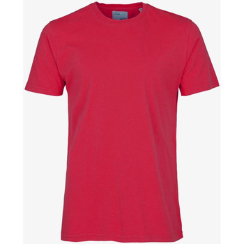 Abbigliamento Uomo T-shirt & Polo Colorful Standard CLASSIC ORGANIC TEE Rosso