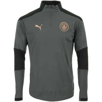 Abbigliamento Uomo T-shirt maniche corte Puma Manchester City 1/4 Zip Top Grigio