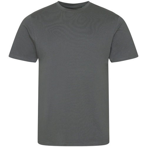 Abbigliamento Uomo T-shirts a maniche lunghe Ecologie Cascades Grigio