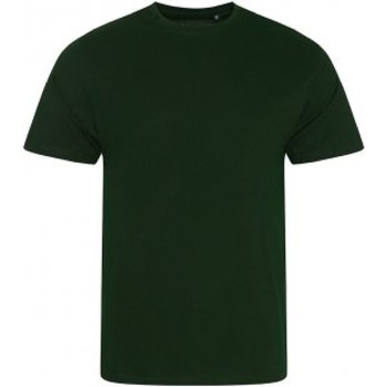 Abbigliamento Uomo T-shirts a maniche lunghe Ecologie EA001 Verde