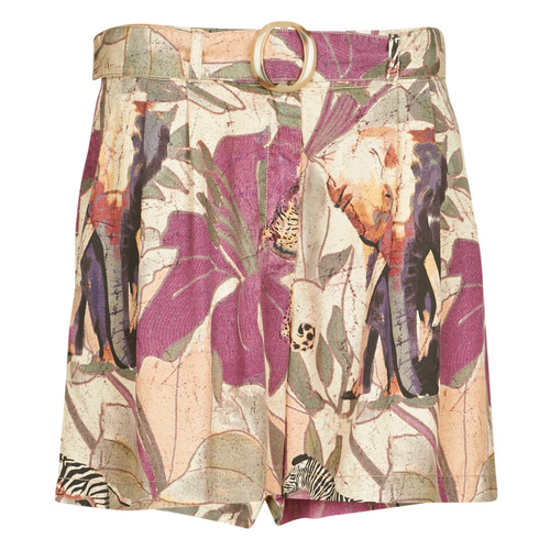 Abbigliamento Donna Shorts / Bermuda Desigual ETNICAN Multicolore