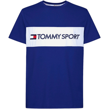 Abbigliamento Uomo T-shirt & Polo Tommy Hilfiger S20S200375 Blu