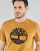 Abbigliamento Uomo T-shirt maniche corte Timberland SS KENNEBEC RIVER BRAND TREE TEE Camel