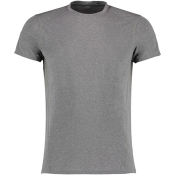 Abbigliamento Uomo T-shirts a maniche lunghe Gamegear KK939 Grigio