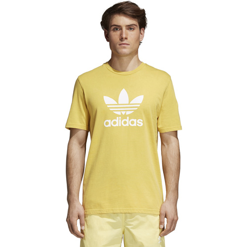Abbigliamento Uomo T-shirt & Polo adidas Originals CW0706 Giallo