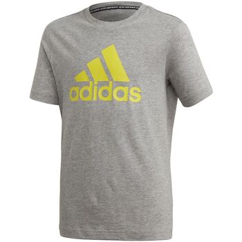 Abbigliamento Unisex bambino T-shirt & Polo adidas Originals FQ7721 Grigio