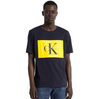 Abbigliamento Uomo T-shirt maniche corte Calvin Klein Jeans J30J307427 Blu