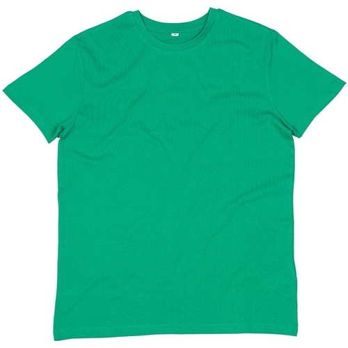 Abbigliamento Uomo T-shirts a maniche lunghe Mantis Essential Verde