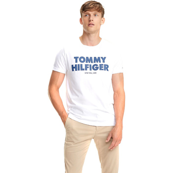 Abbigliamento Uomo T-shirt & Polo Tommy Hilfiger MW0MW09821 Bianco