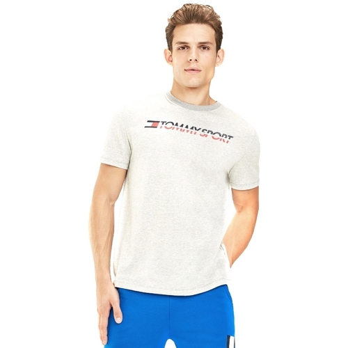 Abbigliamento Uomo T-shirt & Polo Tommy Hilfiger S20S200051 Grigio